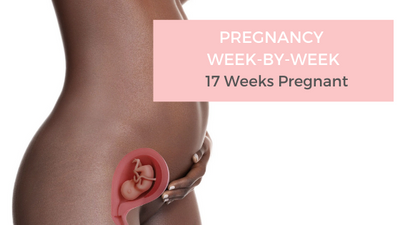 Your Pregnancy Week-by-Week - 17 Weeks Pregnant