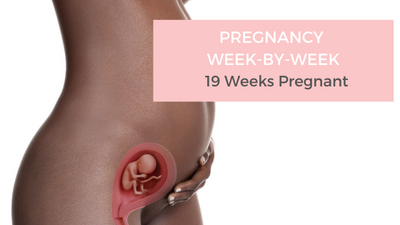 Your Pregnancy Week-by-Week - 19 Weeks Pregnant