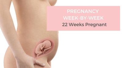Your Pregnancy Week-by-Week - 22 Weeks Pregnant