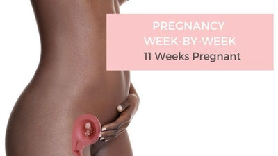 Your Pregnancy Week-by-Week - 11 Weeks Pregnant